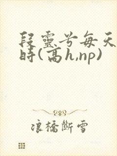 段灵兮每天激情时(高h,np)封面