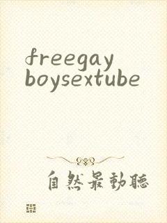 freegayboysextube
