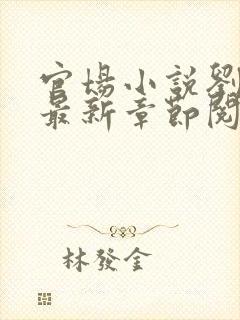 官场小说刘志中最新章节阅读全文