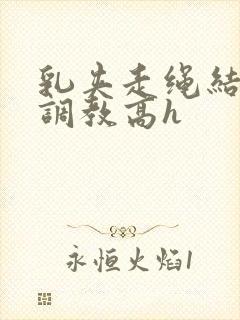 乳夹走绳结sm调教高h封面