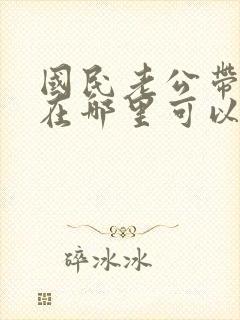 国民老公带回家在哪里可以看