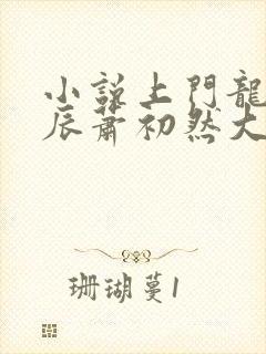 小说上门龙婿叶辰萧初然大结局封面