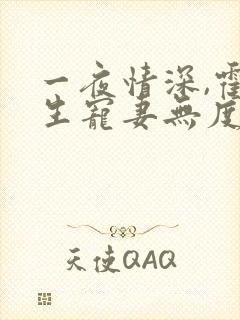 一夜情深,霍先生宠妻无度全集