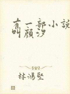 有一部小说女主叫颜汐封面