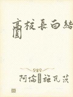 高校长白结大团圆封面