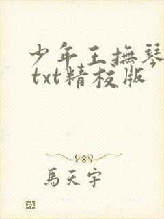 少年王抚琴的人 txt精校版