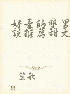 好看的双男主小说推荐甜文