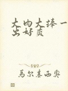 大肉大捧一进一出好爽封面