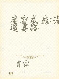 蜜宠成瘾:漫漫追妻路封面