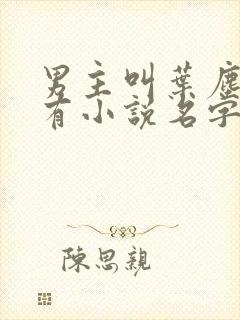 男主叫叶尘的所有小说名字