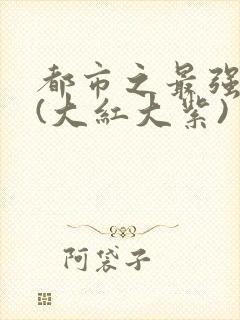 都市之最强狂兵(大红大紫)