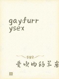 gayfurrysex封面