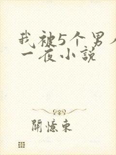 我被5个男人躁一夜小说