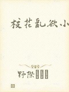 校花乱欲小说封面