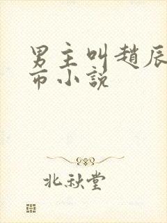 男主叫赵辰的都市小说