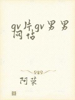 gv片gv男男网站封面