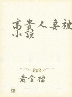 高贵人妻被调教小说