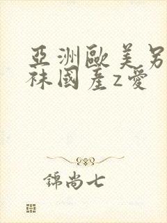 亚洲欧美另类丝袜国产z爱封面