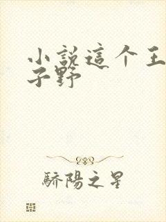 小说这个王妃路子野