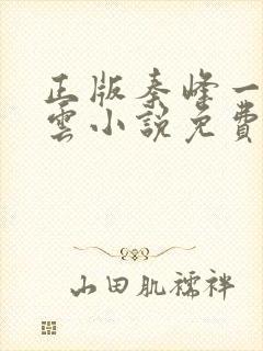 正版秦峰一胡佳云小说免费阅读