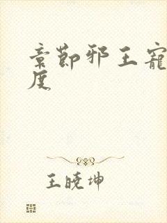 章节邪王宠妻无度