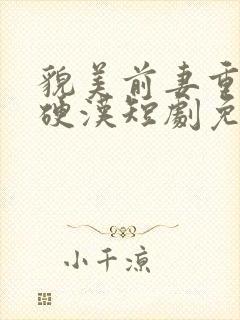 貌美前妻重生嫁硬汉短剧免费观看