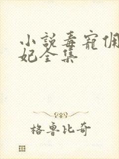 小说毒宠佣兵王妃全集