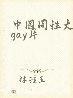 中国同性大尺度gay片