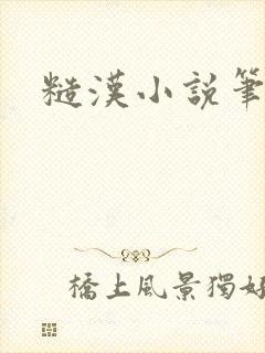 糙汉小说笔趣阁封面