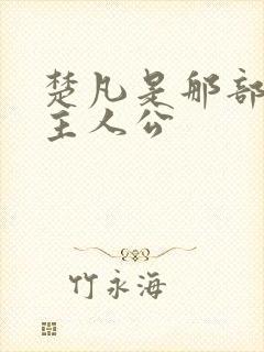 楚凡是那部小说主人公封面