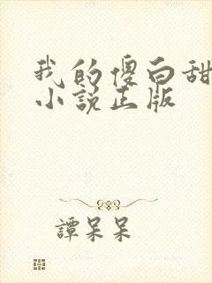 我的傻白甜老婆小说正版