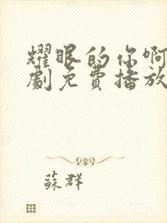 耀眼的你啊电视剧免费播放全集