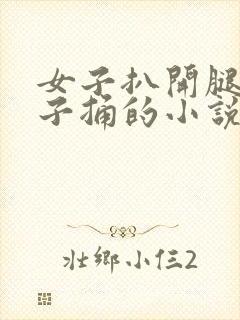 女子扒开腿让男子捅的小说