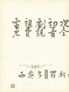 电视剧初次爱你免费观看全集剧情封面