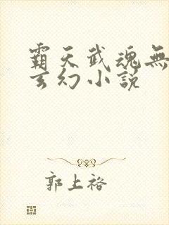 霸天武魂无弹窗玄幻小说