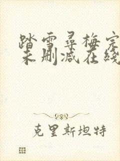 踏雪寻梅完整版未删减在线免费观看