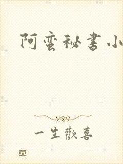 阿蛮秘书小说封面