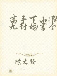 高手下山:开局九封婚书全文下载