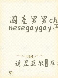国产男男chinesegaygay网站