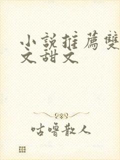 小说推荐双男主文甜文