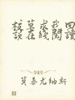 校草求我回头小说在线阅读