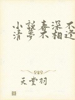 小说春深不归客清梦不相逢免费阅读