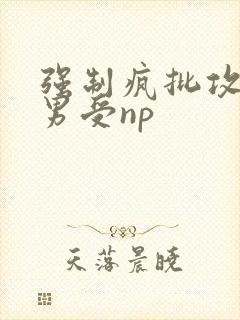 强制疯批攻虐直男受np