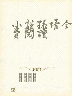 小说孙倩全文免费阅读封面