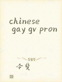 chinese gay gv pron