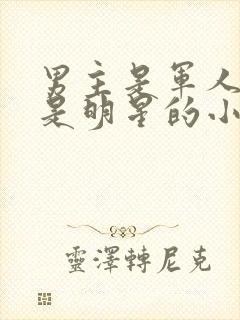 男主是军人女主是明星的小说