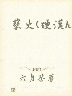 孽火(硬汉h)封面