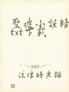 圣墟小说精校版txt下载