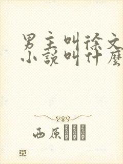 男主叫徐文东的小说叫什么名字封面