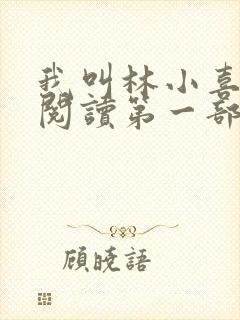 我叫林小喜全文阅读第一部封面